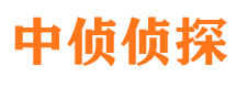 细河侦探调查公司